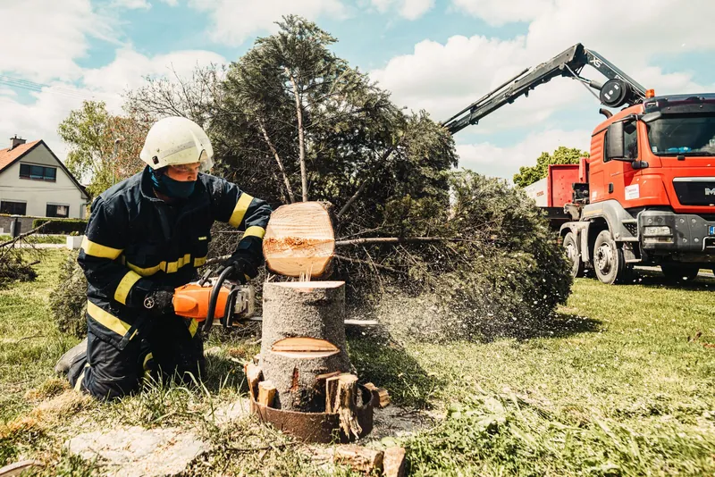 Gabe's Tree Service crew cutting a tree with a grapple truck on site