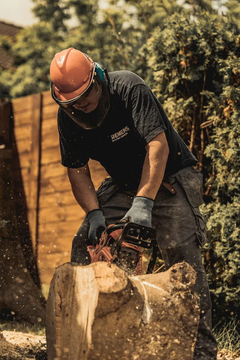 Gabe's Tree Service technician grinding through a large log in a residential backyard